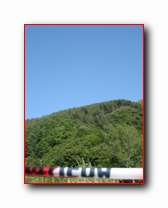 [Click to enlarge]